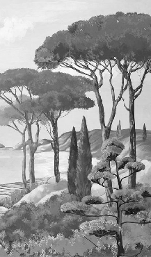 Papel pintado «Paseo por las calas» en blanco y negro