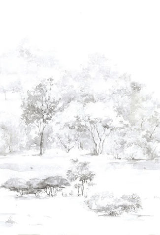 Papier peint forêt de pin aquarelle, XXL, tendance