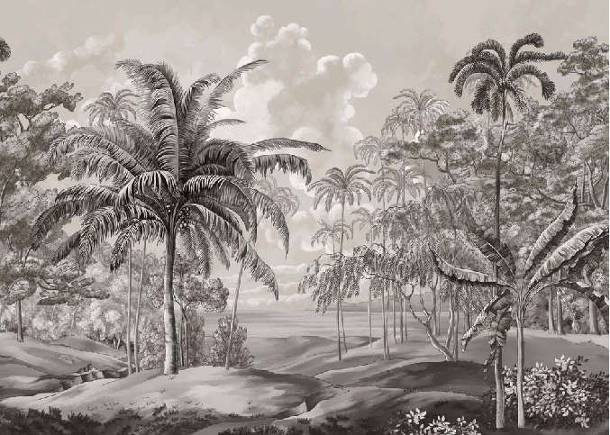Fondo de pantalla en blanco y negro del paisaje de Sulawesi