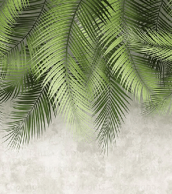 Papel pintado con hojas de palmera y pared de cemento