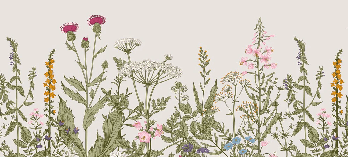 Papel pintado romántico con motivos florales botánicos