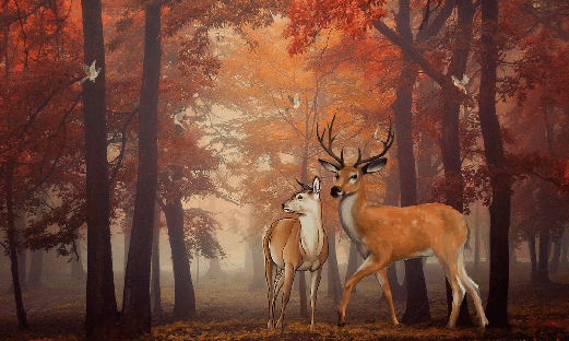 Papier peint Forêt couleur d'automne & Cerfs, XXL, tendance