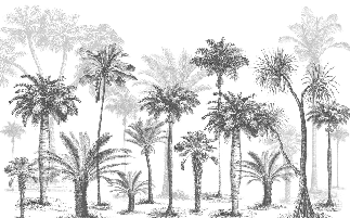 Papel pintado Jungle Black & White