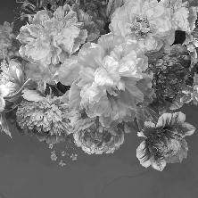 Papier peint fleur pivoine noir et blanc, XXL, tendance