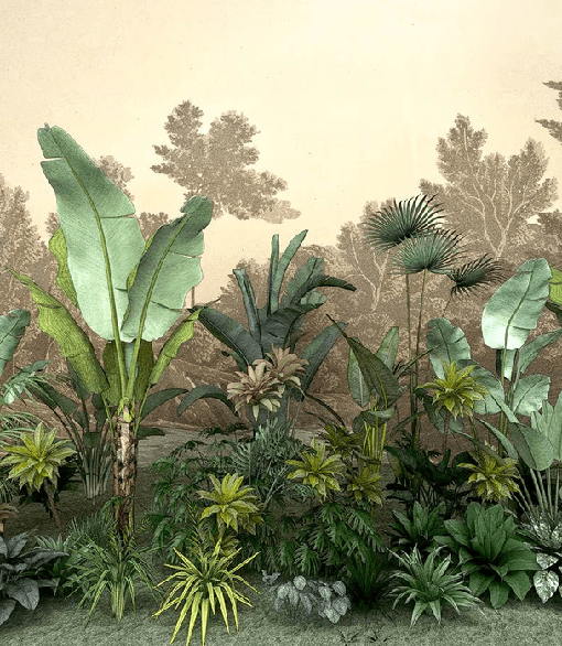 Papier peint toilette Jungle tendance indonésia - Muralconcept