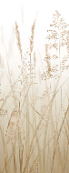 Papier peint fleur des champs de blé, XXL, tendance