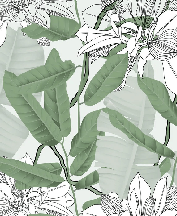 Naturaleza follaje verde flor NB fondo de pantalla