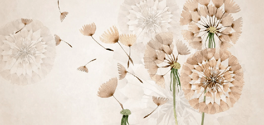 Papier peint fleur pissenlit - Muralconcept