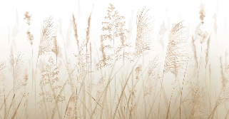 Papel pintado con flores de campos de trigo