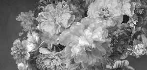 Papier peint fleur pivoine noir et blanc - Muralconcept