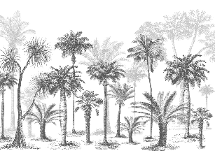 Papel pintado Jungle Black & White