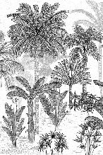 Papel pintado para baño con motivos de cocoteros y grabados de moda