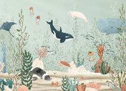 Papier peint bébé monde marin - Muralconcept