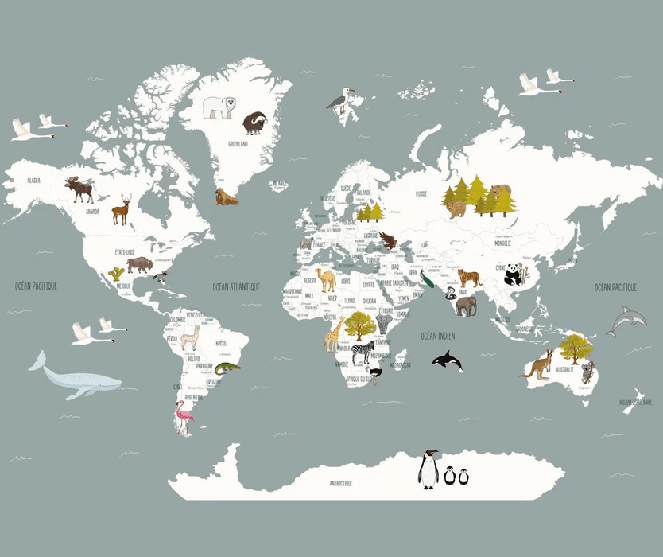 Papel pintado Mapa del mundo en francés para niños gris