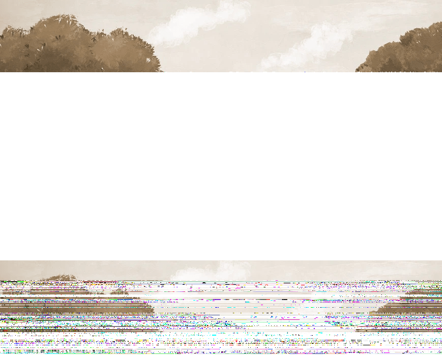 Papel pintado «Paseo por las calas monocromáticas»