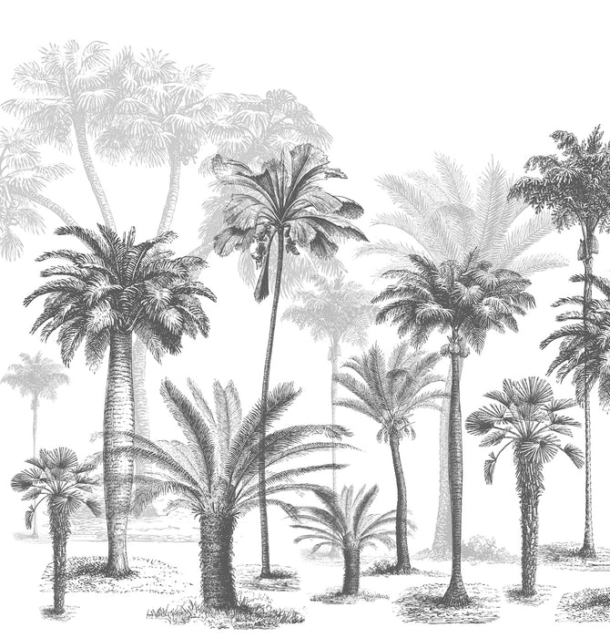 Papel pintado Jungla en blanco y negro