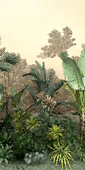 Papier peint toilette Jungle tendance indonésia, XXL, tendance