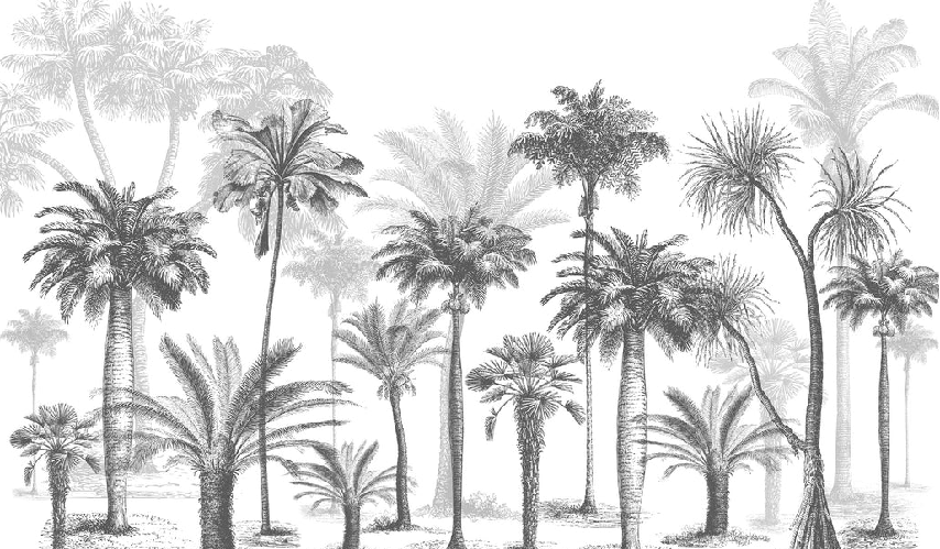 Fondo de pantalla Black & White jungle