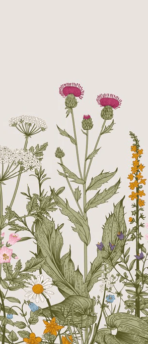Papier peint fleur botanique folk romantique, XXL, tendance