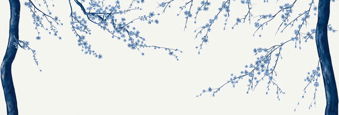 Papel pintado panorámico con flores blancas Sakura