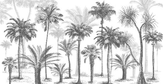 Papel pintado Jungle Black & White