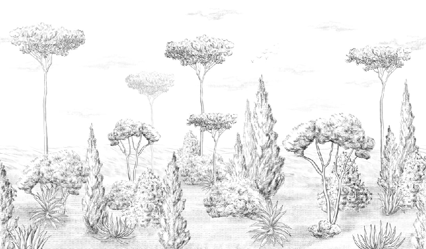 Papel pintado panorámico bosque antiguo