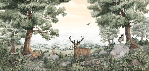 Papel pintado vida de los animales