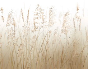 Papel pintado con flores de campos de trigo