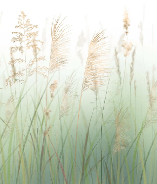 Papel pintado con flores de campos de trigo verde