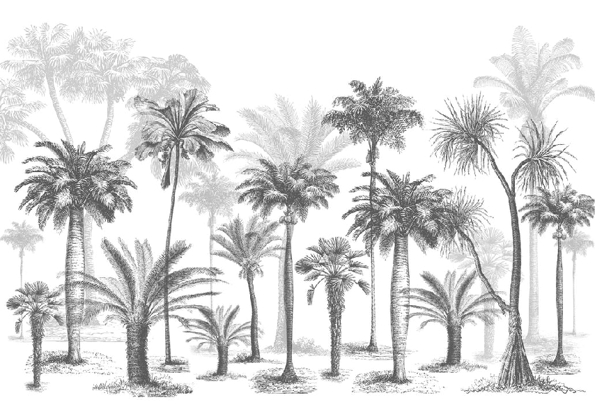 Papel pintado Jungle Black & White