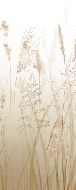Papier peint toilette fleur des champs de blé beige - Muralconcept