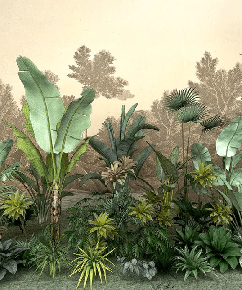Papier peint toilette Jungle tendance indonésia - Muralconcept