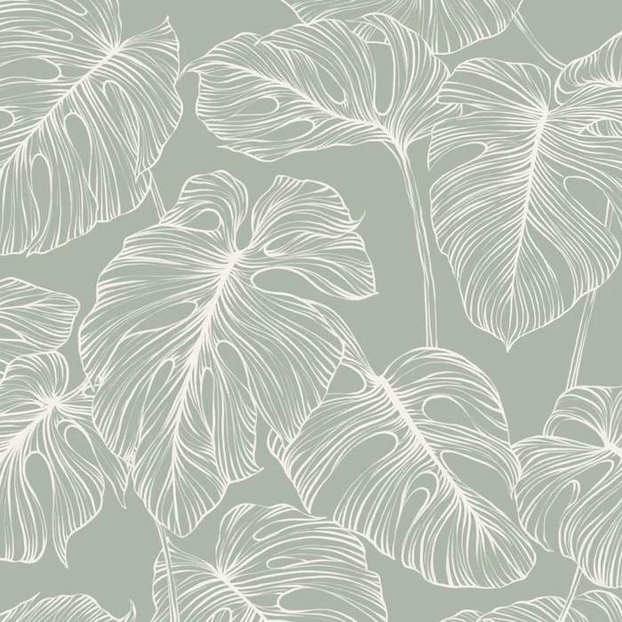 Papel pintado hoja de monstera salvia