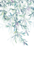 Papier peint wc Végétal & Scandinave style, XXL, tendance