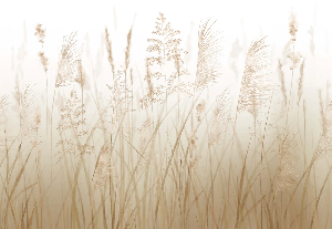 Papel pintado con flores de campos de trigo