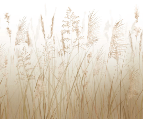 Papel pintado con flores de campos de trigo