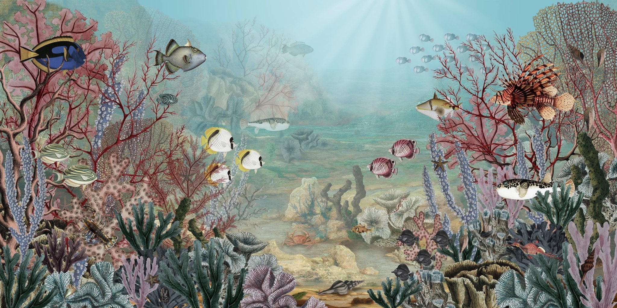 Papier peint vie sous la mer - panoramique français