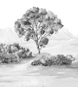 Papel pintado Paisaje poético en blanco y negro