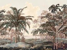 Papel pintado paisaje Célèbes terra