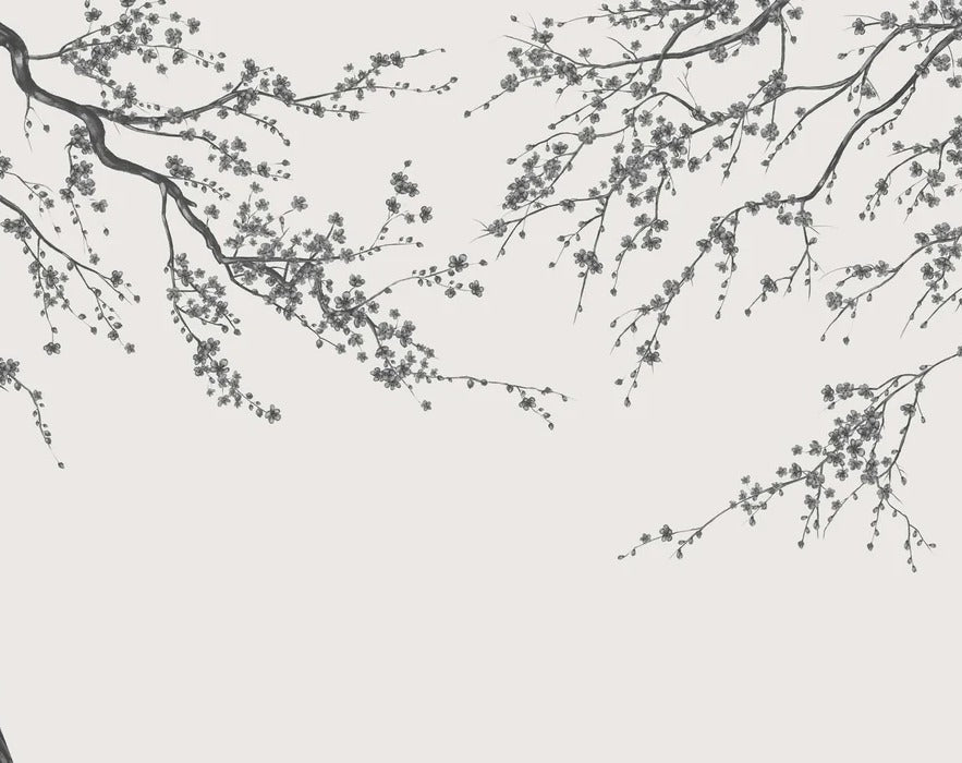 Papel pintado panorámico de flores en blanco y negro Sakura