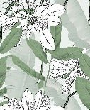 Papel pintado cuarto de baño follaje naturaleza flor verde NB