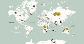 Papel pintado infantil mapamundi francés verde