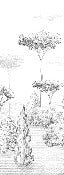 Papel pintado Bosque antiguo panorámico