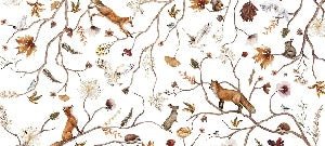 Fondos de aventuras infantiles en el bosque