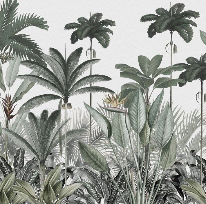 Papel pintado Árbol de la selva panorámico