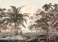 Papel pintado paisaje Célèbes terra
