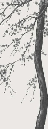 Papier peint panoramique fleur Sakura noir et blanc, XXL, tendance