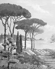 Papier peint balade dans les calanques noir et blanc, XXL, tendance