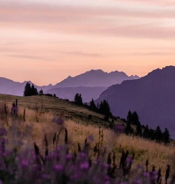 Papier peint restaurant massif du Giffre, XXL, tendance
