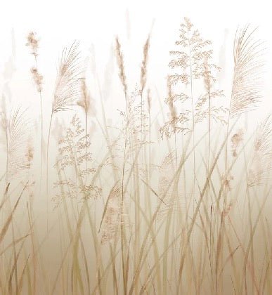 Fondo de flores de campo de trigo